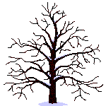 Jahreszeiten-Baum
